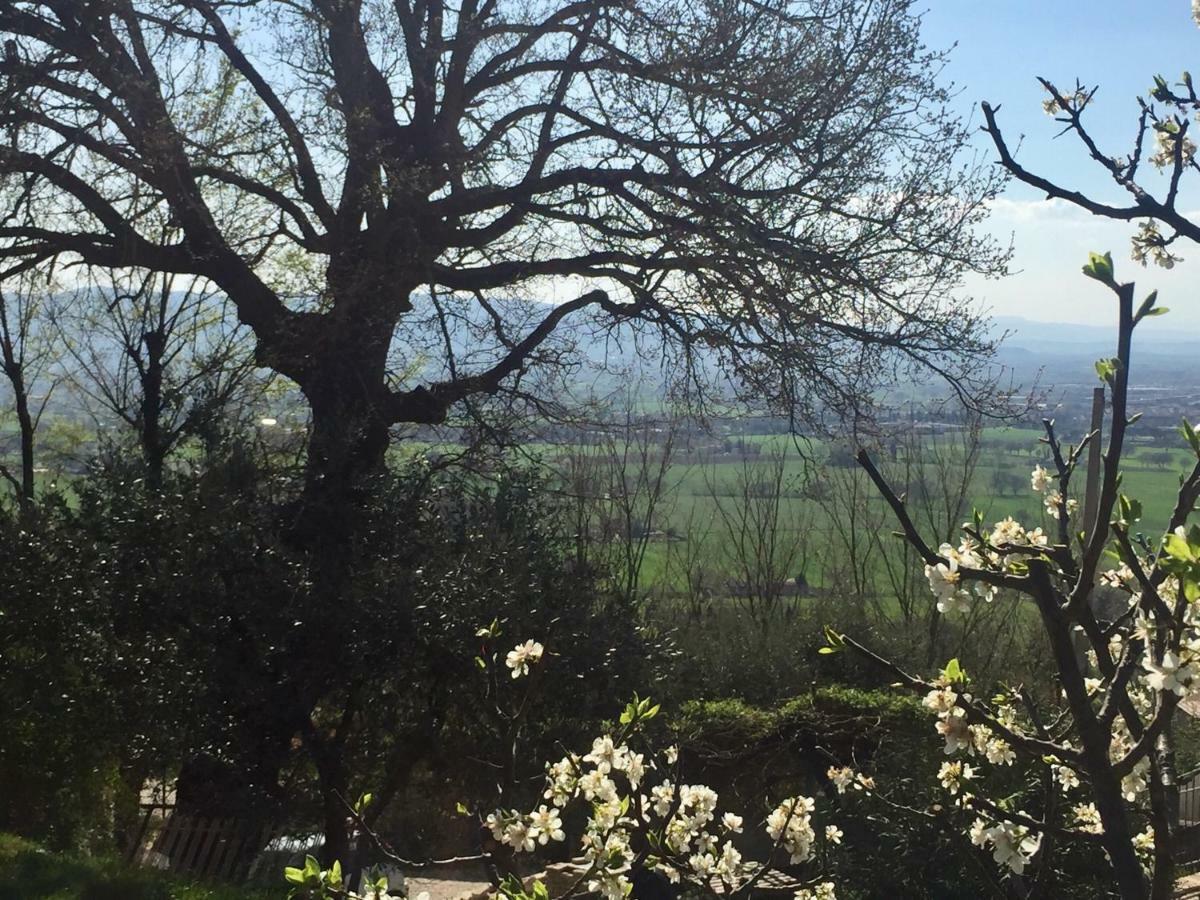 Lavanda E Rosmarino Home Assisi Luaran gambar