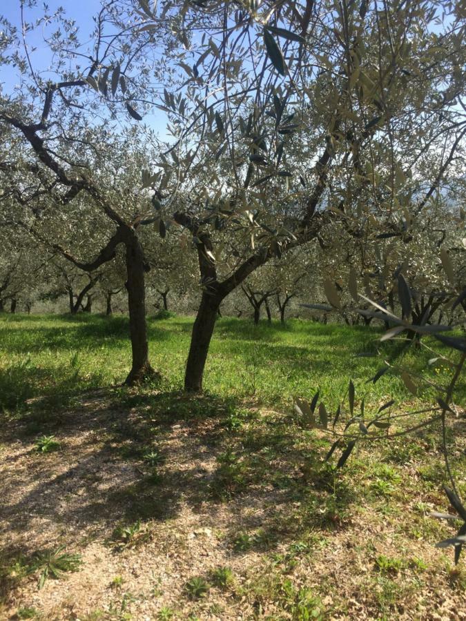 Lavanda E Rosmarino Home Assisi Luaran gambar