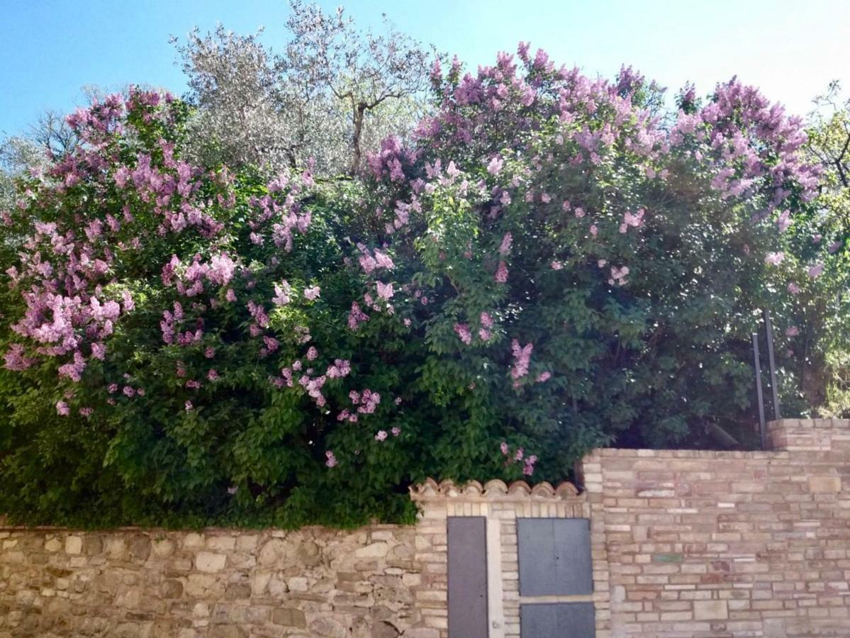 Lavanda E Rosmarino Home Assisi Luaran gambar
